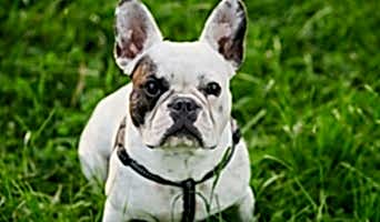 Batıpet Oteli Fiyatları, Batıpet Oteli Fiyatları