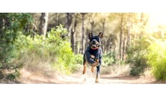 Bahçeşehir Alan Koruma Eğitimi, Bahçeşehir Alan Koruma Eğitimi