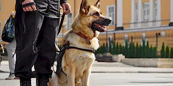 Bodyguard Eğitimi, Bodyguard Eğitimi