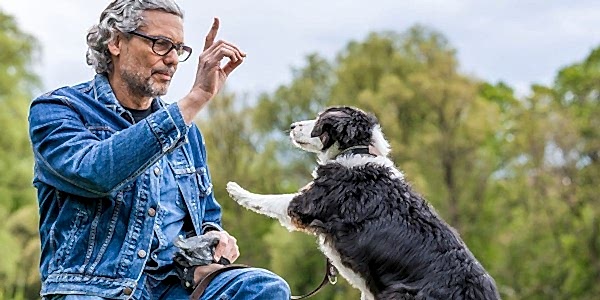 Temel İtaat Eğitimi, Temel İtaat Eğitimi