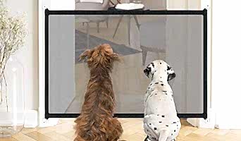 Köpek Otelinde Güvenlik Önlemleri Nasıl Alınır?, Köpek Otelinde Güvenlik Önlemleri Nasıl Alınır?